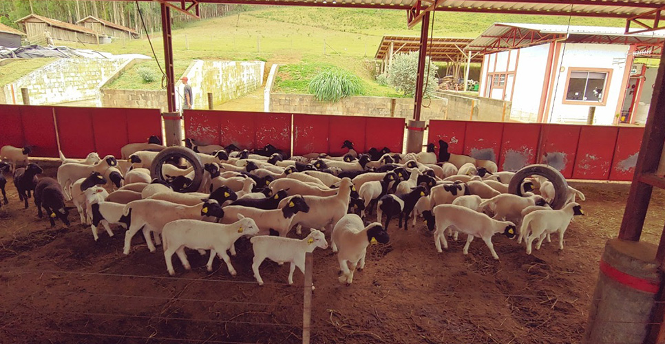 Barbacena: Serras Alterosas Da Mantiqueira