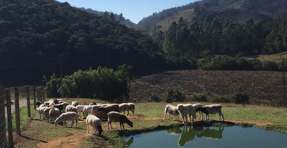 Barbacena: Serras Alterosas Da Mantiqueira